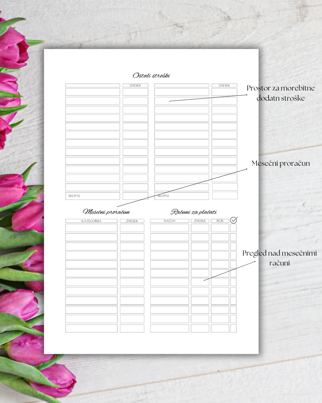 Mesečni proračun, finance, pregled stroškov, insertni listi za v planer, vložni listi