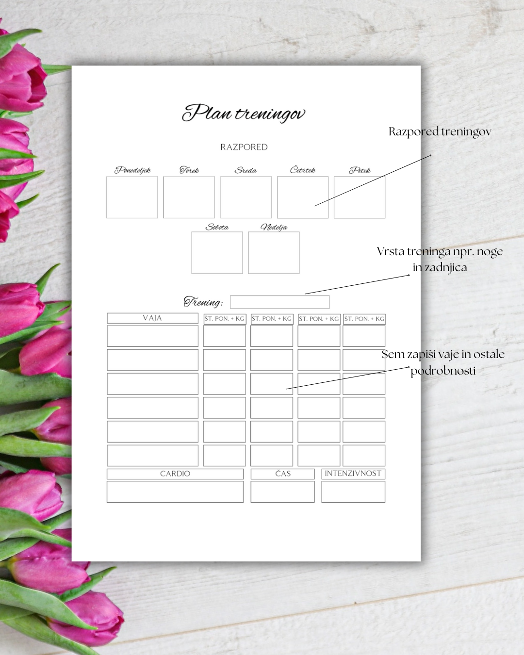 Plan treninov, trening plan, planiranje