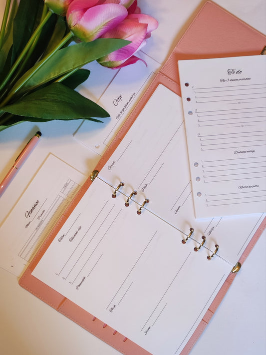 Organizacija, tema, planer, komplet, red, finance, to do, cilji, insertni listi za v planer