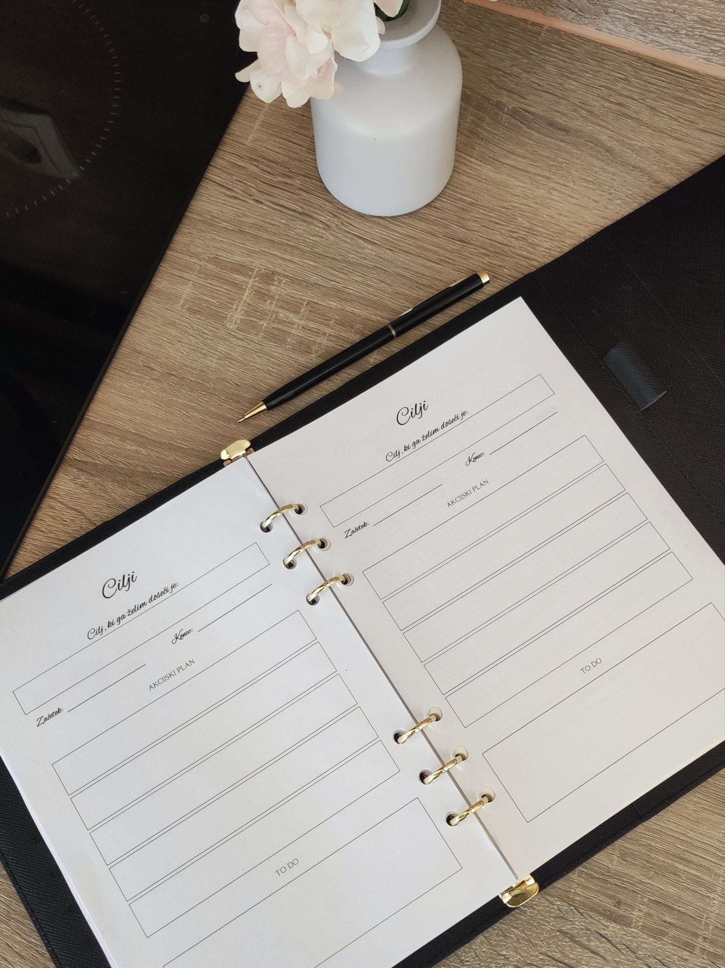 ULTIMATIVNI paket: Organizirana ti