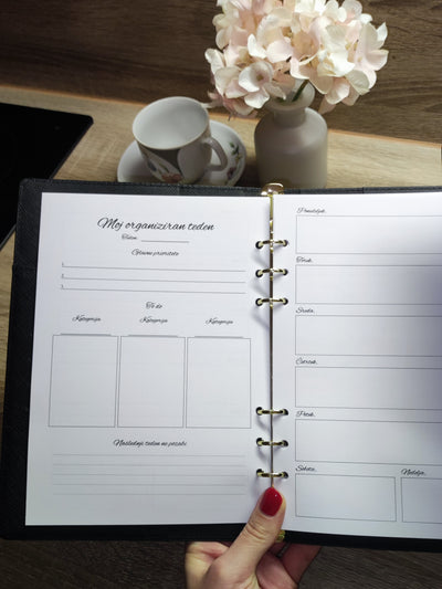 Tedenski pregled - Moj organiziran teden (za 24 tednov)